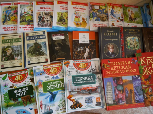 В Башкортостане прошла акция «Книги детям Донбасса» 